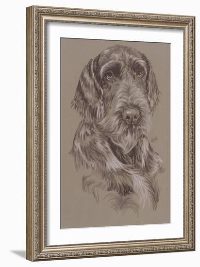 German Wirehaired Pointer-Barbara Keith-Framed Giclee Print