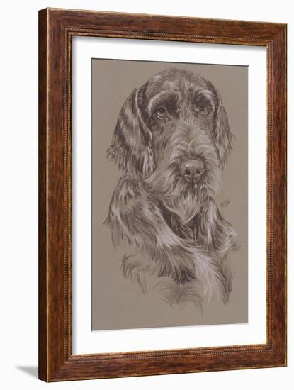 German Wirehaired Pointer-Barbara Keith-Framed Giclee Print