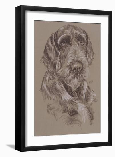 German Wirehaired Pointer-Barbara Keith-Framed Giclee Print