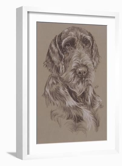 German Wirehaired Pointer-Barbara Keith-Framed Giclee Print