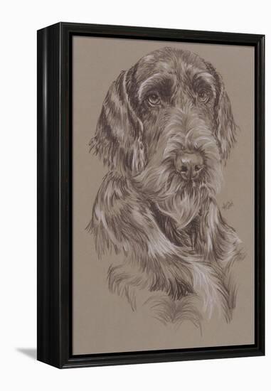 German Wirehaired Pointer-Barbara Keith-Framed Premier Image Canvas