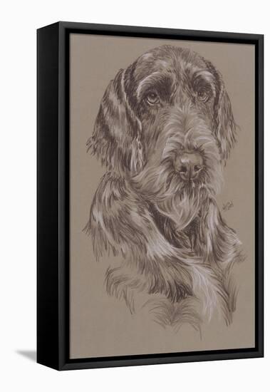 German Wirehaired Pointer-Barbara Keith-Framed Premier Image Canvas