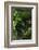 Germany, Baden-WŸrttemberg, Black Forest, Burgbach-Andreas Keil-Framed Photographic Print