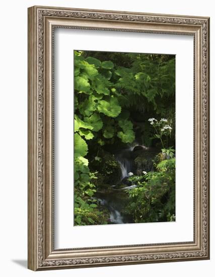 Germany, Baden-WŸrttemberg, Black Forest, Burgbach-Andreas Keil-Framed Photographic Print