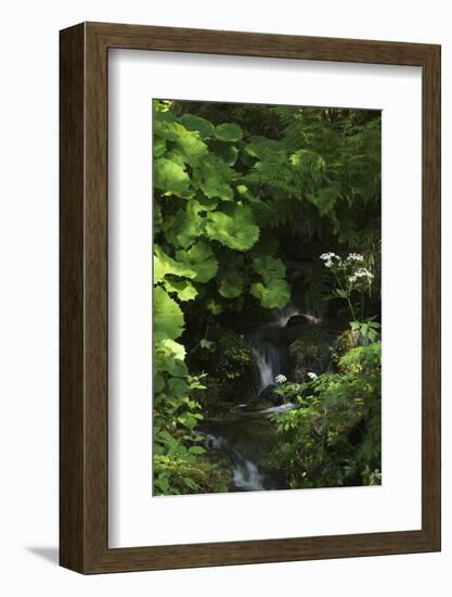 Germany, Baden-WŸrttemberg, Black Forest, Burgbach-Andreas Keil-Framed Photographic Print