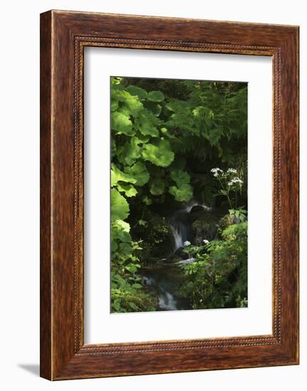 Germany, Baden-WŸrttemberg, Black Forest, Burgbach-Andreas Keil-Framed Photographic Print