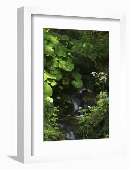 Germany, Baden-WŸrttemberg, Black Forest, Burgbach-Andreas Keil-Framed Photographic Print