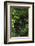 Germany, Baden-WŸrttemberg, Black Forest, Burgbach-Andreas Keil-Framed Photographic Print