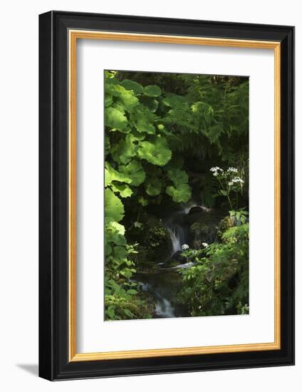 Germany, Baden-WŸrttemberg, Black Forest, Burgbach-Andreas Keil-Framed Photographic Print