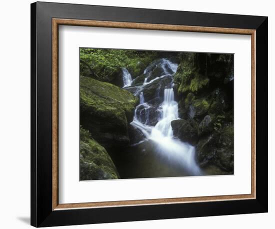 Germany, Baden-WŸrttemberg, Black Forest, Wutach Gorge, Lotenbach Ravine, Waterfall with Moss-Andreas Keil-Framed Photographic Print