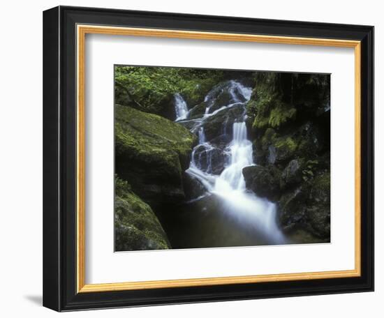 Germany, Baden-WŸrttemberg, Black Forest, Wutach Gorge, Lotenbach Ravine, Waterfall with Moss-Andreas Keil-Framed Photographic Print