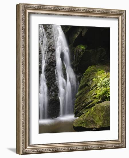 Germany, Baden-WŸrttemberg, Black Forest, Wutach Gorge, Lotenbach Ravine-Andreas Keil-Framed Photographic Print