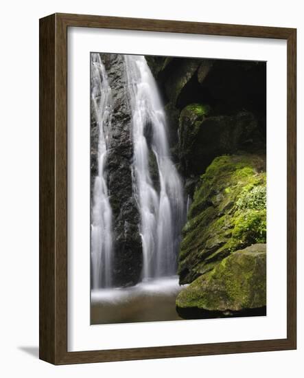 Germany, Baden-WŸrttemberg, Black Forest, Wutach Gorge, Lotenbach Ravine-Andreas Keil-Framed Photographic Print