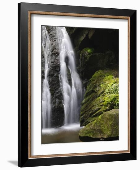 Germany, Baden-WŸrttemberg, Black Forest, Wutach Gorge, Lotenbach Ravine-Andreas Keil-Framed Photographic Print