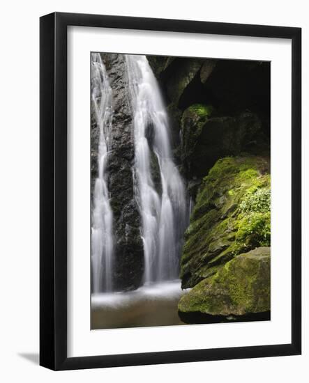 Germany, Baden-WŸrttemberg, Black Forest, Wutach Gorge, Lotenbach Ravine-Andreas Keil-Framed Photographic Print