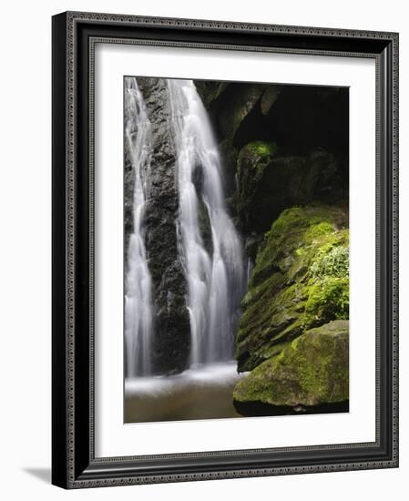 Germany, Baden-WŸrttemberg, Black Forest, Wutach Gorge, Lotenbach Ravine-Andreas Keil-Framed Photographic Print