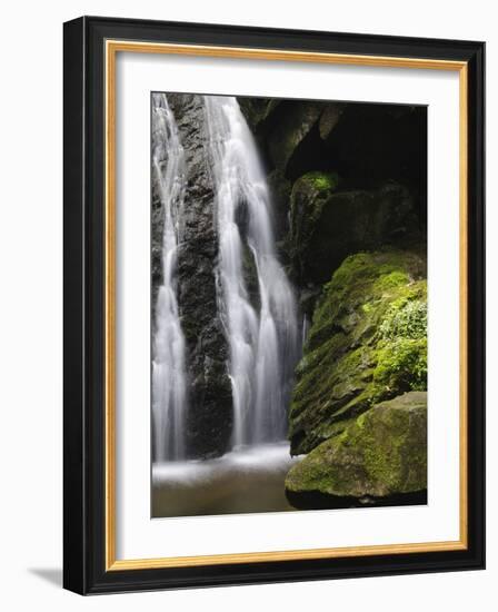 Germany, Baden-WŸrttemberg, Black Forest, Wutach Gorge, Lotenbach Ravine-Andreas Keil-Framed Photographic Print