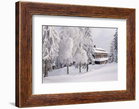 Germany, Baden-WŸrttemberg, Black Forest, Yellow Water Rose Sea, Hotel-Roland T.-Framed Photographic Print