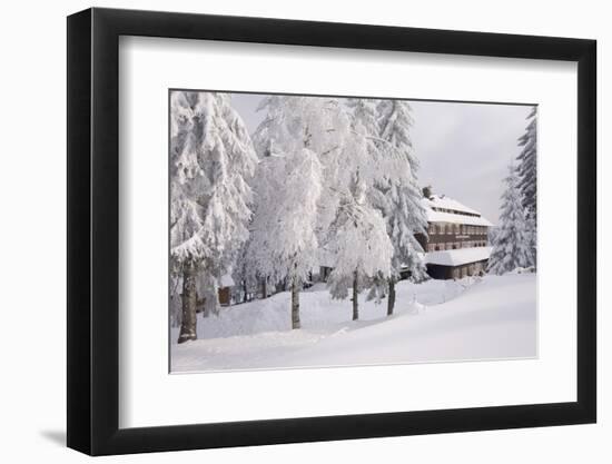 Germany, Baden-WŸrttemberg, Black Forest, Yellow Water Rose Sea, Hotel-Roland T.-Framed Photographic Print