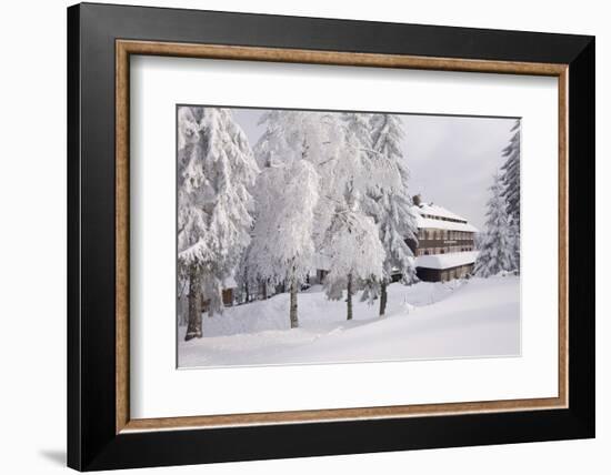 Germany, Baden-WŸrttemberg, Black Forest, Yellow Water Rose Sea, Hotel-Roland T.-Framed Photographic Print