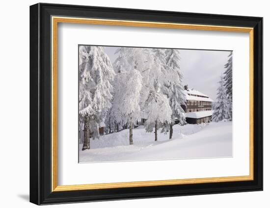 Germany, Baden-WŸrttemberg, Black Forest, Yellow Water Rose Sea, Hotel-Roland T.-Framed Photographic Print