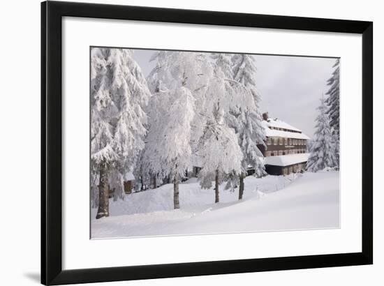 Germany, Baden-WŸrttemberg, Black Forest, Yellow Water Rose Sea, Hotel-Roland T.-Framed Photographic Print