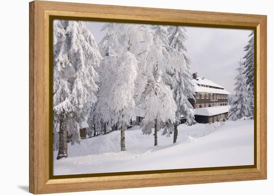 Germany, Baden-WŸrttemberg, Black Forest, Yellow Water Rose Sea, Hotel-Roland T.-Framed Premier Image Canvas