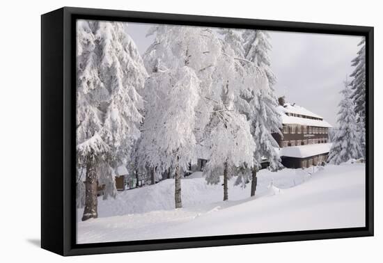 Germany, Baden-WŸrttemberg, Black Forest, Yellow Water Rose Sea, Hotel-Roland T.-Framed Premier Image Canvas