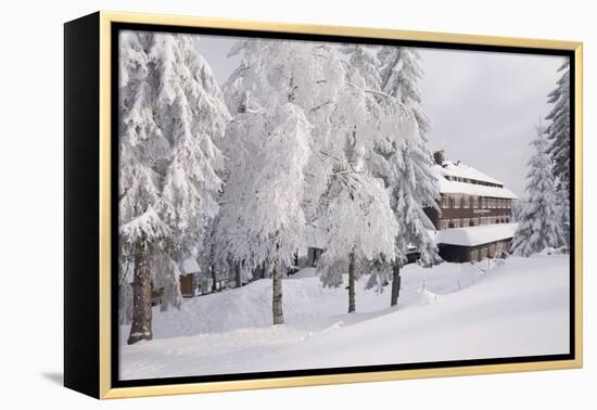 Germany, Baden-WŸrttemberg, Black Forest, Yellow Water Rose Sea, Hotel-Roland T.-Framed Premier Image Canvas