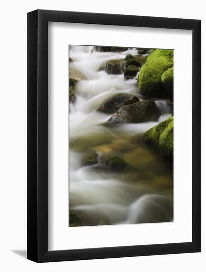 Germany, Baden-Wurttemberg, Black Forest, Grobbach-Andreas Keil-Framed Photographic Print