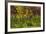 Germany, Baden-Wurttemberg, Endingen, Vineyards, Dawn, Autumn-Walter Bibikow-Framed Photographic Print