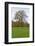 Germany, Baden-Wurttemberg, Karlsruhe, castle grounds trees in autumn-Roland T. Frank-Framed Photographic Print