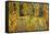 Germany, Baden-Wurttemberg, Karlsruhe, in the castle grounds, trees in autumn.-Roland T. Frank-Framed Stretched Canvas