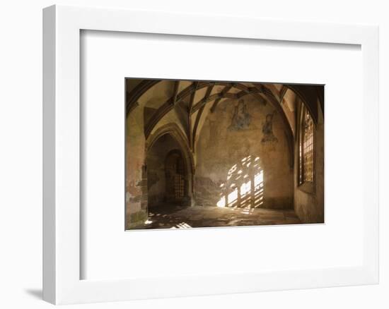 Germany, Baden-Wurttemberg, Maulbronn, Kloster Maulbronn Abbey-Walter Bibikow-Framed Photographic Print