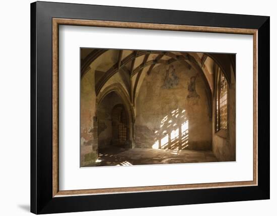 Germany, Baden-Wurttemberg, Maulbronn, Kloster Maulbronn Abbey-Walter Bibikow-Framed Photographic Print