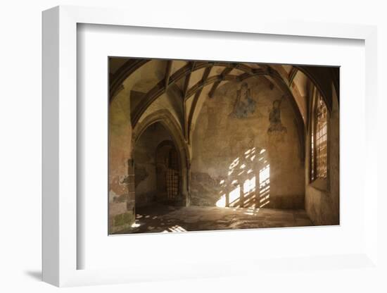 Germany, Baden-Wurttemberg, Maulbronn, Kloster Maulbronn Abbey-Walter Bibikow-Framed Photographic Print