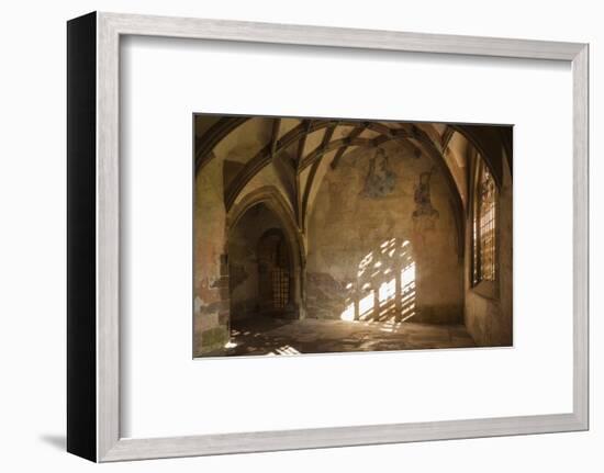 Germany, Baden-Wurttemberg, Maulbronn, Kloster Maulbronn Abbey-Walter Bibikow-Framed Photographic Print