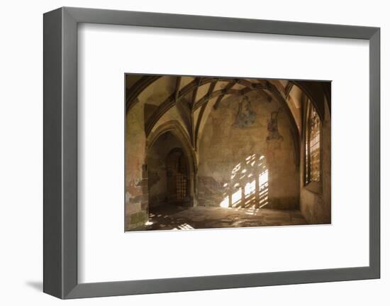 Germany, Baden-Wurttemberg, Maulbronn, Kloster Maulbronn Abbey-Walter Bibikow-Framed Photographic Print
