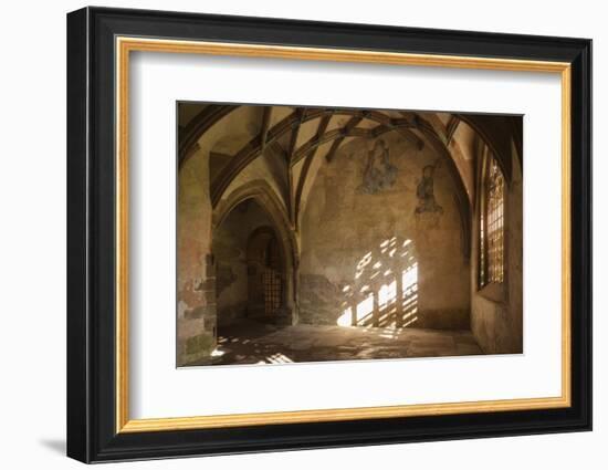 Germany, Baden-Wurttemberg, Maulbronn, Kloster Maulbronn Abbey-Walter Bibikow-Framed Photographic Print