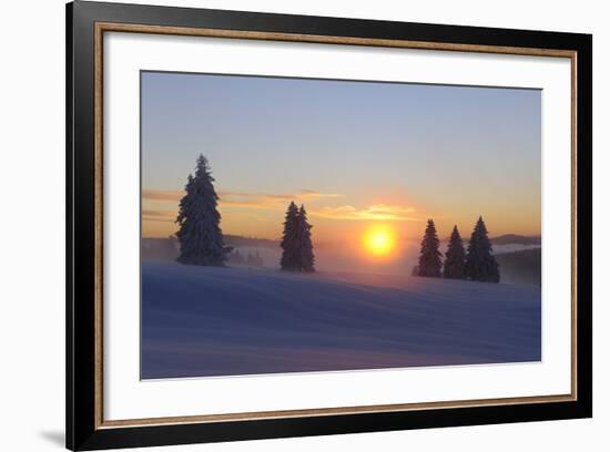 Germany, Baden-Wurttemberg, South Black Forest, Feldberg Area, Winter Scenery, Sunrise-Herbert Kehrer-Framed Photographic Print