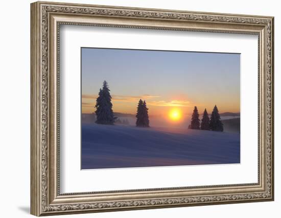Germany, Baden-Wurttemberg, South Black Forest, Feldberg Area, Winter Scenery, Sunrise-Herbert Kehrer-Framed Photographic Print