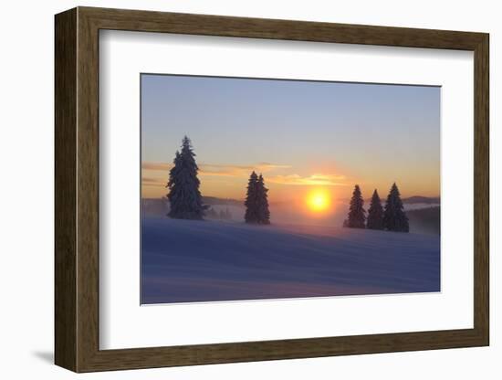 Germany, Baden-Wurttemberg, South Black Forest, Feldberg Area, Winter Scenery, Sunrise-Herbert Kehrer-Framed Photographic Print