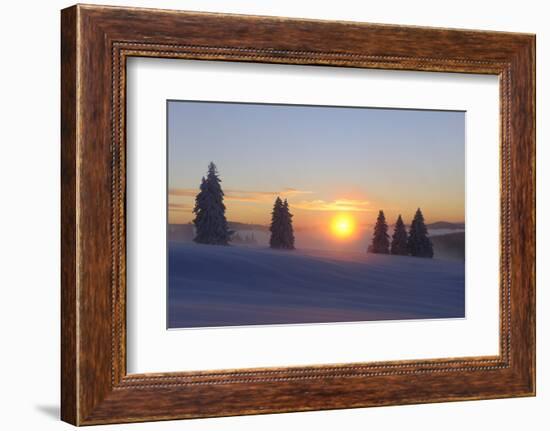 Germany, Baden-Wurttemberg, South Black Forest, Feldberg Area, Winter Scenery, Sunrise-Herbert Kehrer-Framed Photographic Print