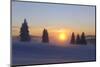 Germany, Baden-Wurttemberg, South Black Forest, Feldberg Area, Winter Scenery, Sunrise-Herbert Kehrer-Mounted Photographic Print