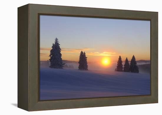 Germany, Baden-Wurttemberg, South Black Forest, Feldberg Area, Winter Scenery, Sunrise-Herbert Kehrer-Framed Premier Image Canvas