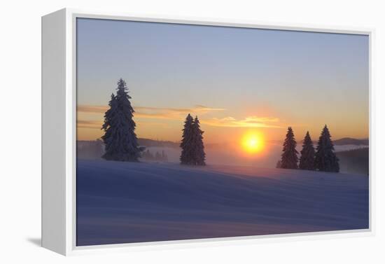 Germany, Baden-Wurttemberg, South Black Forest, Feldberg Area, Winter Scenery, Sunrise-Herbert Kehrer-Framed Premier Image Canvas