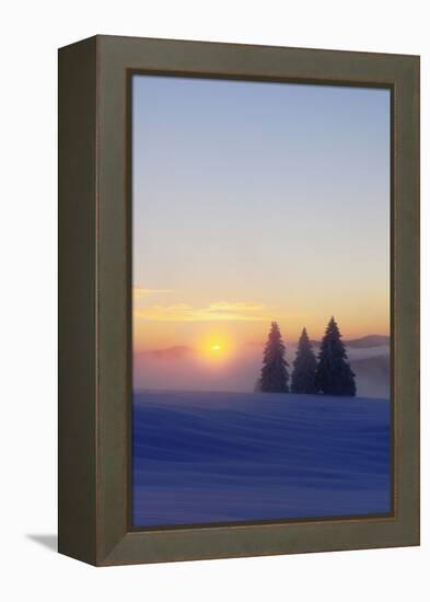 Germany, Baden-Wurttemberg, South Black Forest, Feldberg (Mountain), Winter Scenery, Sunrise-Herbert Kehrer-Framed Premier Image Canvas