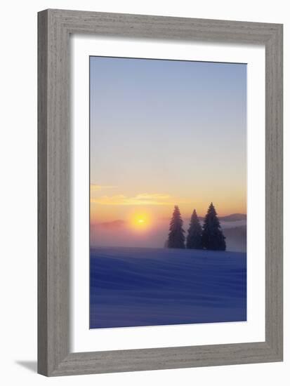 Germany, Baden-Wurttemberg, South Black Forest, Feldberg (Mountain), Winter Scenery, Sunrise-Herbert Kehrer-Framed Photographic Print