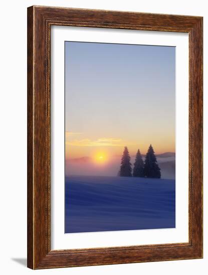 Germany, Baden-Wurttemberg, South Black Forest, Feldberg (Mountain), Winter Scenery, Sunrise-Herbert Kehrer-Framed Photographic Print