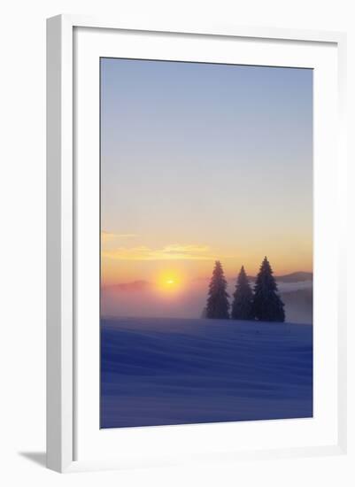 Germany, Baden-Wurttemberg, South Black Forest, Feldberg (Mountain), Winter Scenery, Sunrise-Herbert Kehrer-Framed Photographic Print